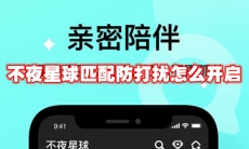 不夜星球匹配防打扰怎么开启