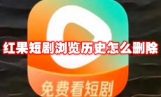 红果短剧浏览历史怎么删除