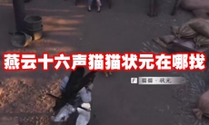 燕云十六声猫猫状元在哪找