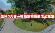 剑网3无界一枝栖宠物奇遇怎么触发