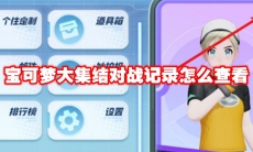 宝可梦大集结对战记录怎么查看