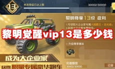 黎明觉醒vip13是多少钱