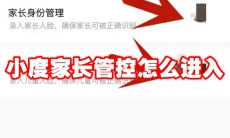小度家长管控怎么进入