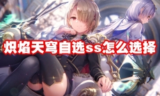 炽焰天穹自选ss怎么选择