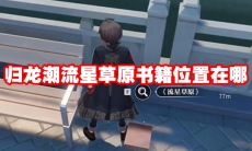 归龙潮流星草原书籍位置在哪