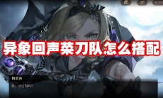 异象回声菜刀队怎么搭配