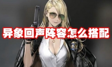 异象回声阵容怎么搭配