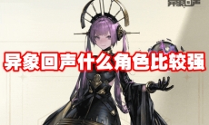 异象回声什么角色比较强