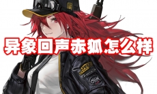 异象回声赤狐怎么样