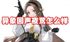 异象回声夜莺怎么样