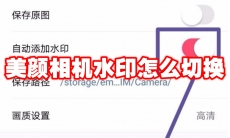 美颜相机水印怎么切换