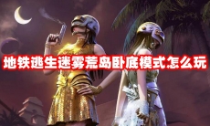 地铁逃生迷雾荒岛卧底模式怎么玩