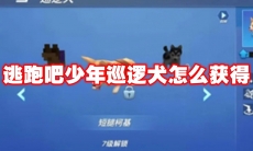 逃跑吧少年巡逻犬怎么获得
