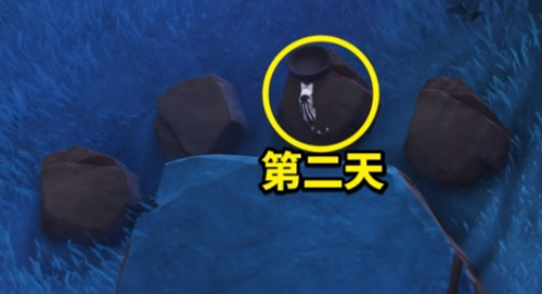 原神喂猫成就怎么解锁